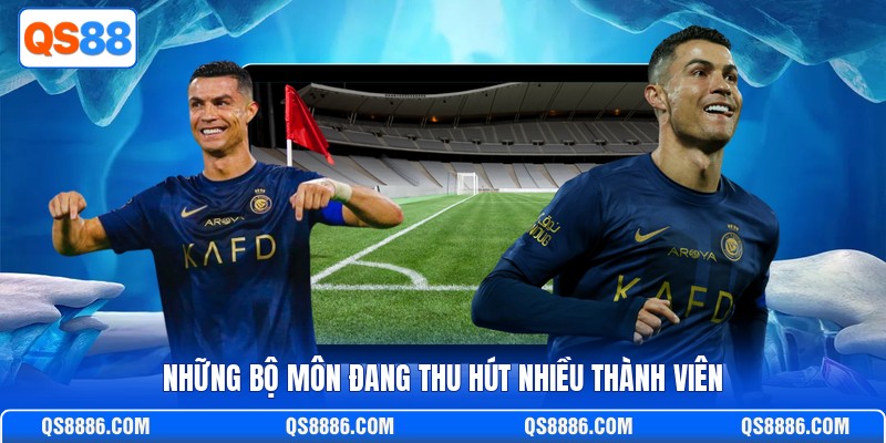 Những bộ môn đang thu hút nhiều thành viên
