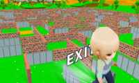 Maze Escape 3D