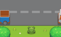 Road Frog